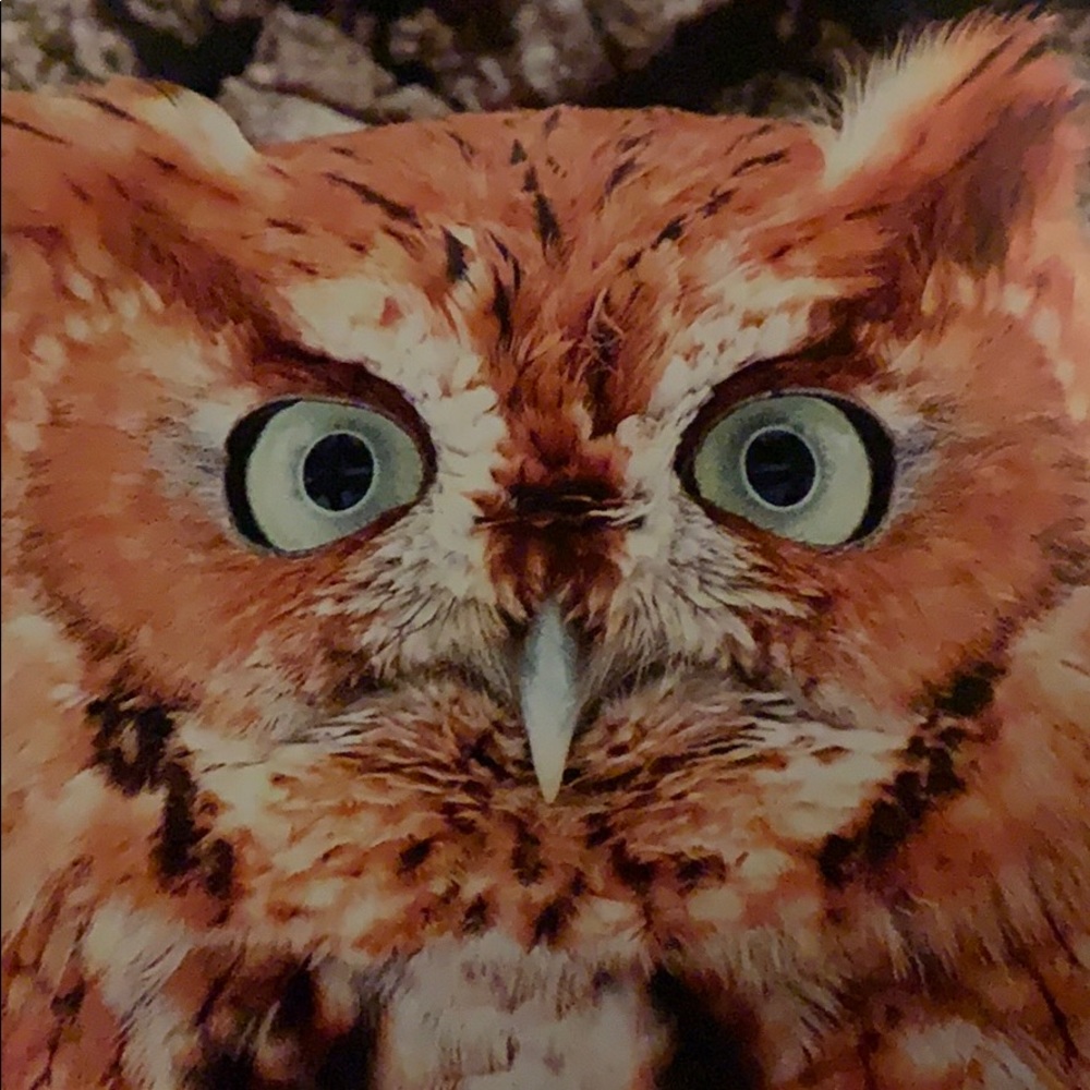 Meet your Posher, Tina